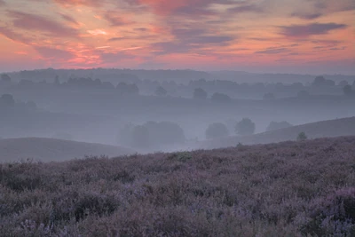 Netherlands